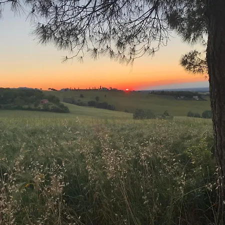 Getaway With Vineyard Views, Fast Wifi, Free Parking
