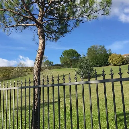 Getaway With Vineyard Views, Fast Wifi, Free Parking Appartement *