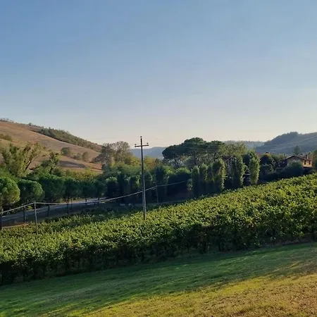 Dolce Collina, Sunset Terrace & Vineyard Views Dozza