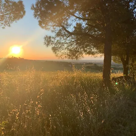 Dolce Collina, Sunset Terrace & Vineyard Views Apartamento