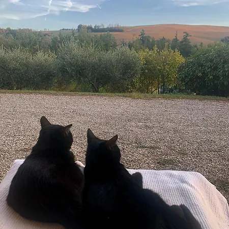 Dolce Collina, Sunset Terrace & Vineyard Views Apartamento *