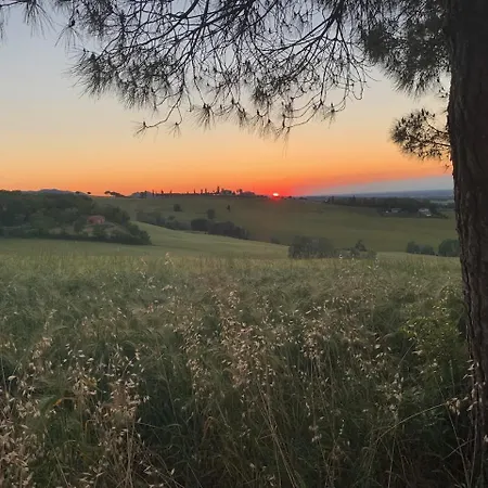 Dolce Collina, Sunset Terrace & Vineyard Views Dozza