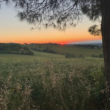 Dolce Collina, Sunset Terrace & Vineyard Views Apartamento