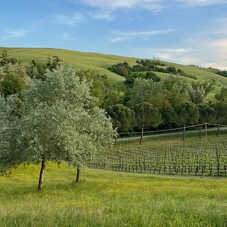 Dolce Collina, Sunset Terrace & Vineyard Views Apartamento