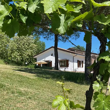 Dolce Collina, Sunset Terrace & Vineyard Views Apartamento *