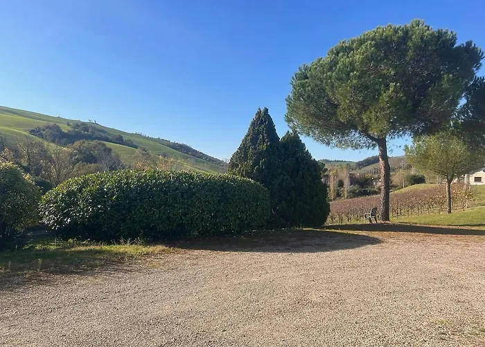 Getaway With Vineyard Views, Fast Wifi, Free Parking