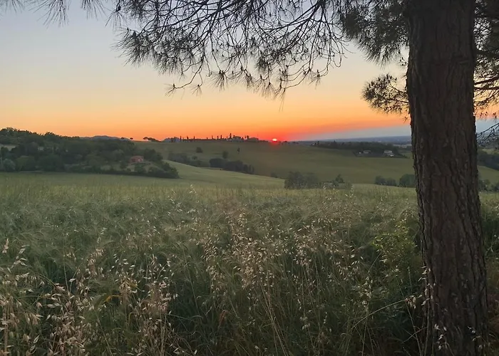 Getaway With Vineyard Views, Fast Wifi, Free Parking