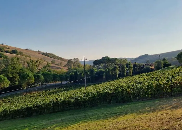 Getaway With Vineyard Views, Fast Wifi, Free Parking Доцца