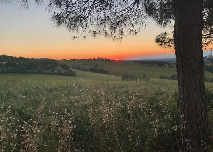 Getaway With Vineyard Views, Fast Wifi, Free Parking Dozza